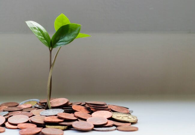 Belgian game funding: who invests and how to apply